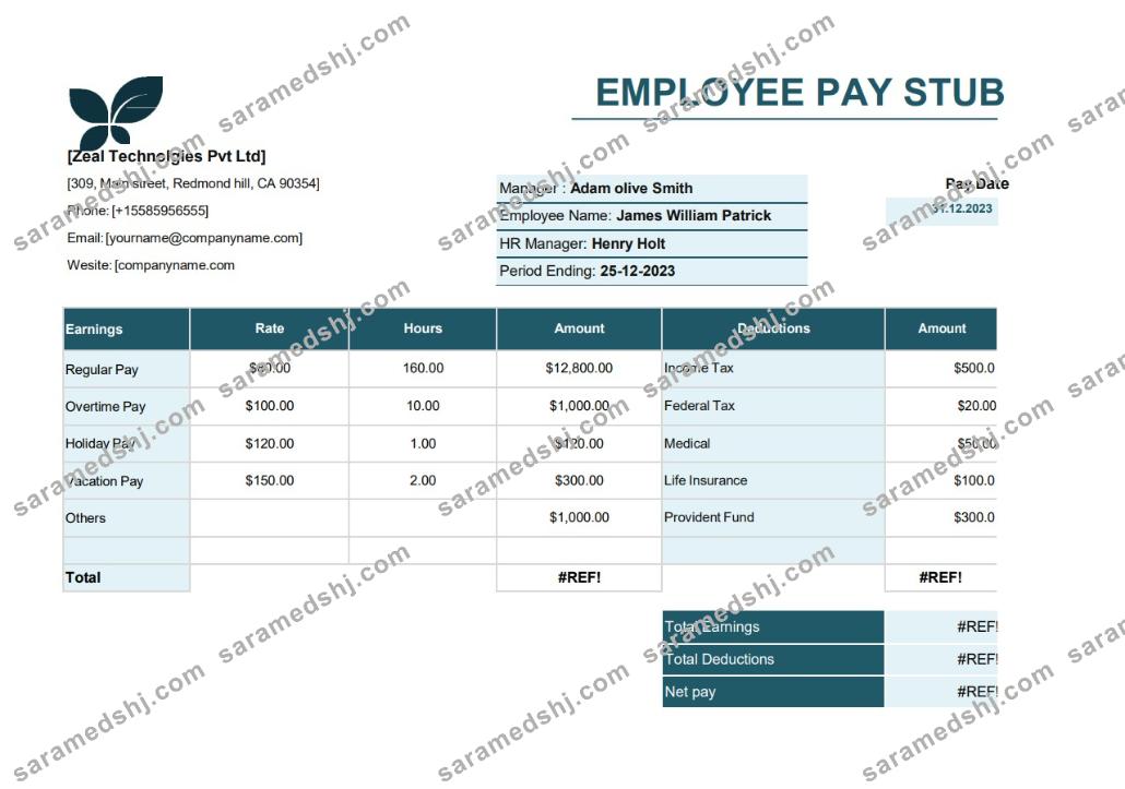 employee pay stub Word and PDF template, version 5